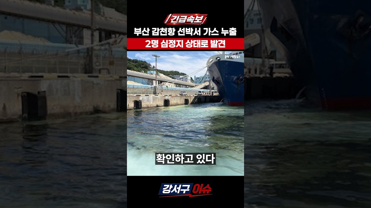 부산 감천항 선박서 가스 누출…2명 심정지 상태로 발견