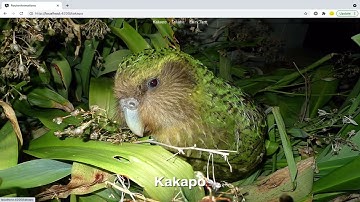 S4E1 Route Transition Animations