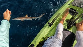 2024 Sailfish Smackdown Kayak Tournament (Lessons Learned)