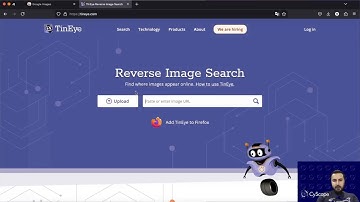 reverse image search