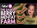 Fallout 76 - BERRY MENTAT FARM - easy to follow guide farming Berry Mentats for Intelligence & XP