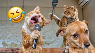 Try Not To LaughFunniest Cats and Dogs 2024Part 11