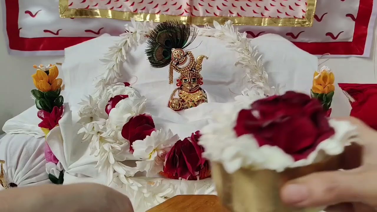 Thakorji vasantpanchamikheldarshan#vrajbhav#sevabhav#viralvideo#krishnaseva#prushtimarg#krishnaleela