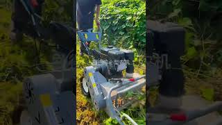 A challengeChallenge complex grass breaking