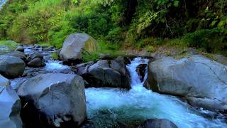 Tranquil Water Flow for Sleep and Relaxation | River Sounds