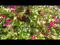 رحلة الفيوم الجزء الثاني الفيديو الكامل عين السيليين فولج ام محمود 