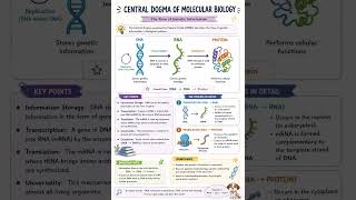 central dogma molecular biology #lifescience #csirnet #molecularbiology #replication #rna #dna