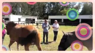 Whalecom Equinoequipers - Abril 1, 2015 Created With