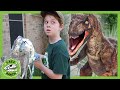 The Dinosaur and the Germ at T-Rex Ranch! Plus More Dinosaur Videos for Kids!