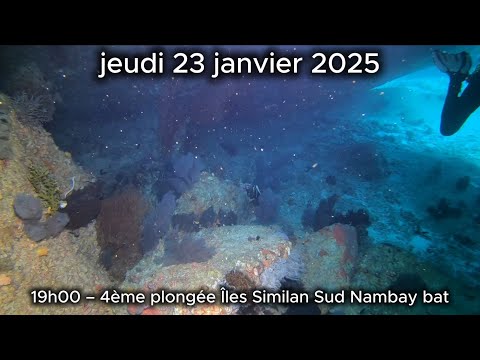 PLONGÉE 4 ILES SIMILAN SUD NAMBAY BAT THAILANDE 2025
