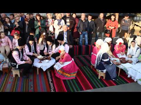 GAGAUZ ŞARAP YORTUSU