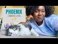 UPDATE!! 2 Months Since Moving To Phoenix + Q&A