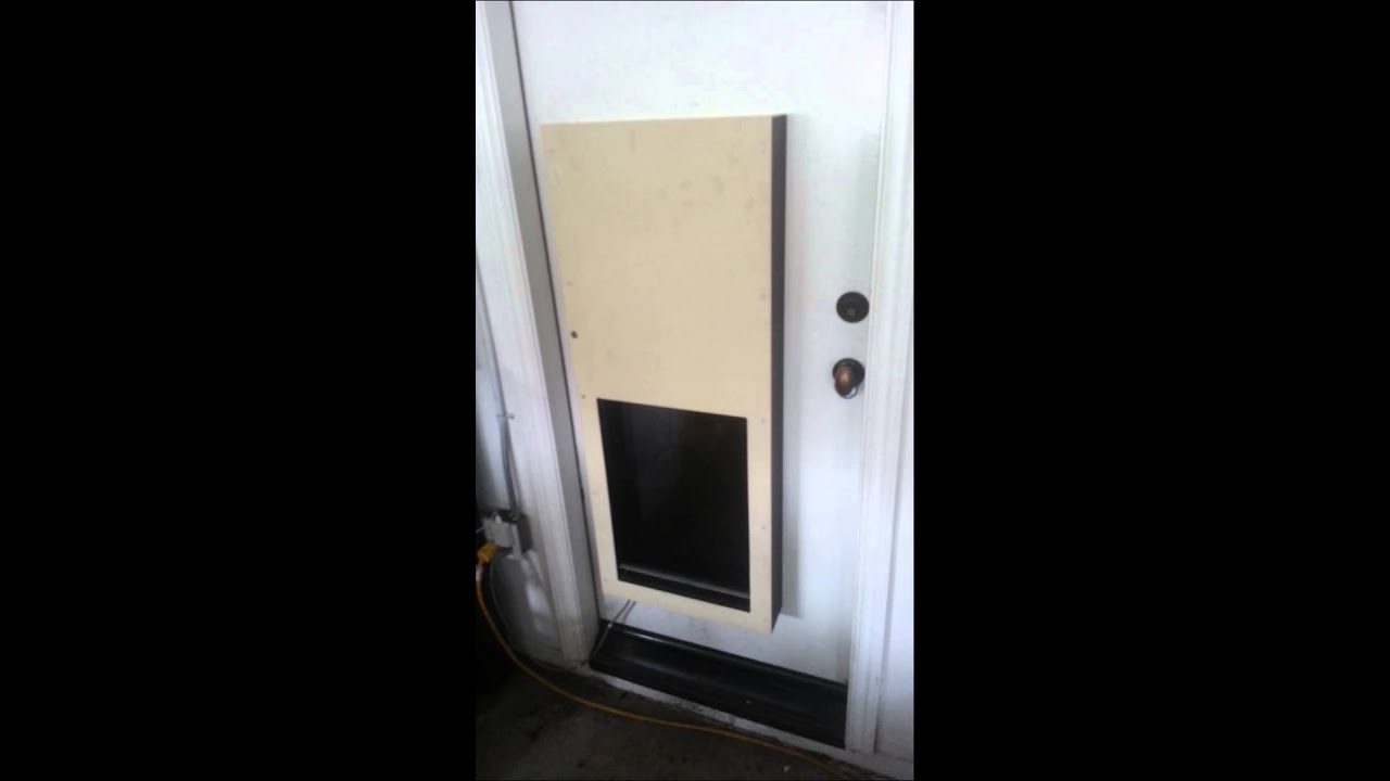 XLarge Automatic Dog Doors for Sale YouTube