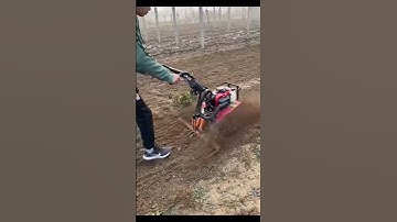 Máy cày xới đất 144f máy làm cỏ máy vun luống máy đào rãnh đa năng #beach #automobile #farming