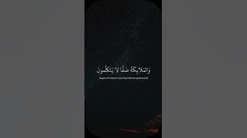 يوم يقوم الـروح - #علي_جابر - #سورة_النبأ #حالة_واتس