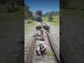 RDR2 Extreme Survival Simulation Impossible Moments EP.968 #streetfood #minivlog #foodreview