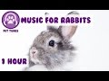 1 Hour of Rabbit Relaxation Music for Your Bunny