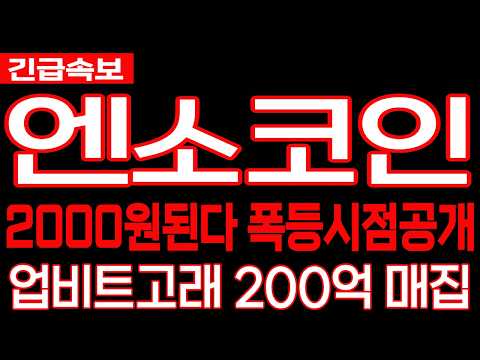 [엔소 코인] 긴급속보 2000원된다 폭등시점공개 업비트고래 200억 매집완료 #엔소 코인