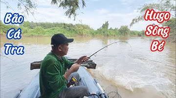 Bão Cá Tra - Hugo Sông Bé | Một Ngày Mai Mắn | Pangasius Storm - Hugo Song Be | A Lucky Tomorrow P46