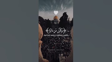 أجمل حالات واتس اب قرآن كريم بصوت يريح القلب ✨🤍