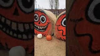 HALLOWEEN PUMPKIN PATCH WALK WithMe  -- Part 2 of Two