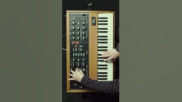 Midsommar MOOG | #patchandplay #synth #synthesizer #moog #minimoog #analog  #horror #sounddesign