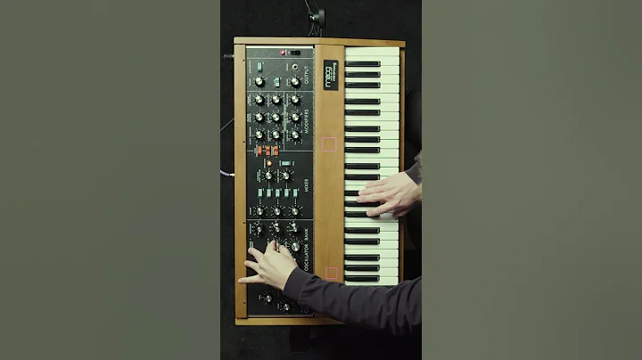 Midsommar MOOG | #patchandplay #synth #synthesizer #moog #minimoog #analog  #horror #sounddesign