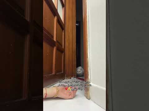 عطاني حركة بالاخر صدمتني            