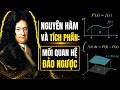 Nguyên hàm và tích phân xác định – Những mối liên hệ “lật qua lật lại” đầy thú vị