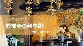 2026 0824 朝参詣