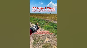 chỉ 60 triệu 1 công tổng 25 công LH 0949,394,622 #linhmochoa #batdongsan #mientay #trendingshorts