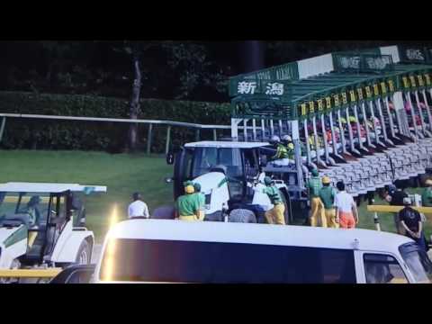2016関屋記念ヤングマンパワー