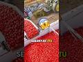 teknik penyortiran yang keren #shorts #feed