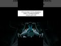типо умный #barotrauma