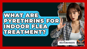 What Are Pyrethrins For Indoor Flea Treatment? - Insects and Invaders
