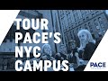 Pace University Others(1)
