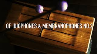 Of Idiophones & Membranophones No. 2