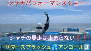 【シャチが大暴走💨鴨川の夏は、まだ終わらない❗❗】2023年9月9日午前11時30分　　サマースプラッシュ💦鴨川シーワールド✨パフォーマンスショー