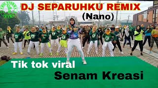 DJ SEPARUHKU REMIX (NANO)//SENAM KREASI//TIK TOK VIRAL//BY LIA BIG STORM