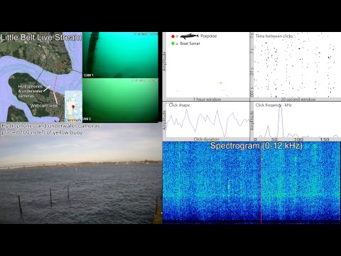 SEICHE WATER TECHNOLOGY GROUP LTD Live Stream