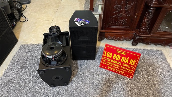 1. Giới thiệu về Loa Treble