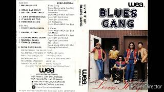 Download lagu Blues Gang Madison Blues... mp3