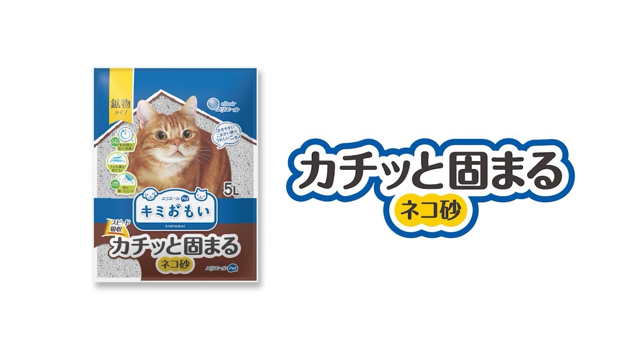 Kimi Omoi] Rock-Solid Clumping Cat Litter Product Intro Video