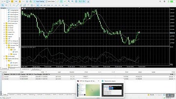 Successful сhecking sending messages the MT5 for Telegram Signals utility on MetaQuotes MT5