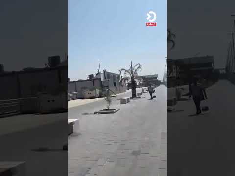 بصري يتساءل عن سبب قطع الأشجار المعمرة في الكورنيش