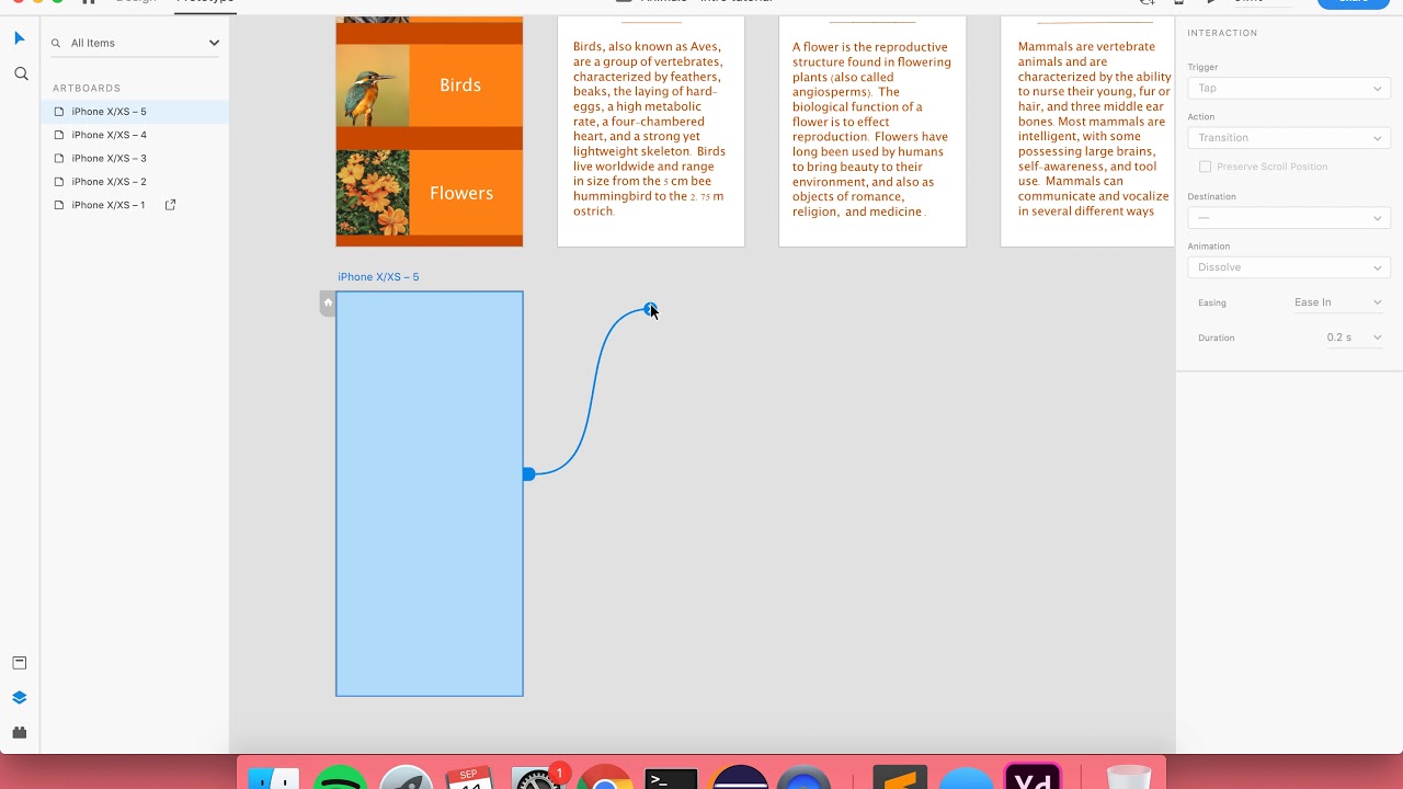 Multiple Web Pages - YouTube