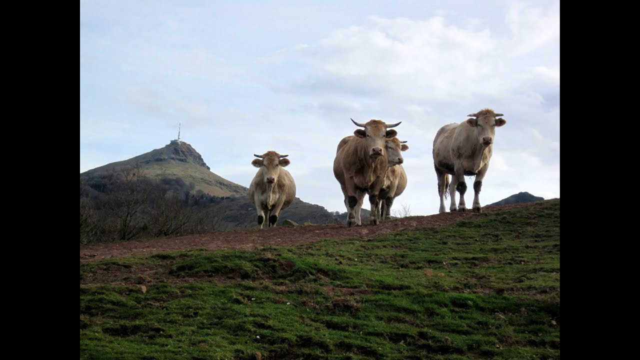 La Rhune  ( Pays Basque )