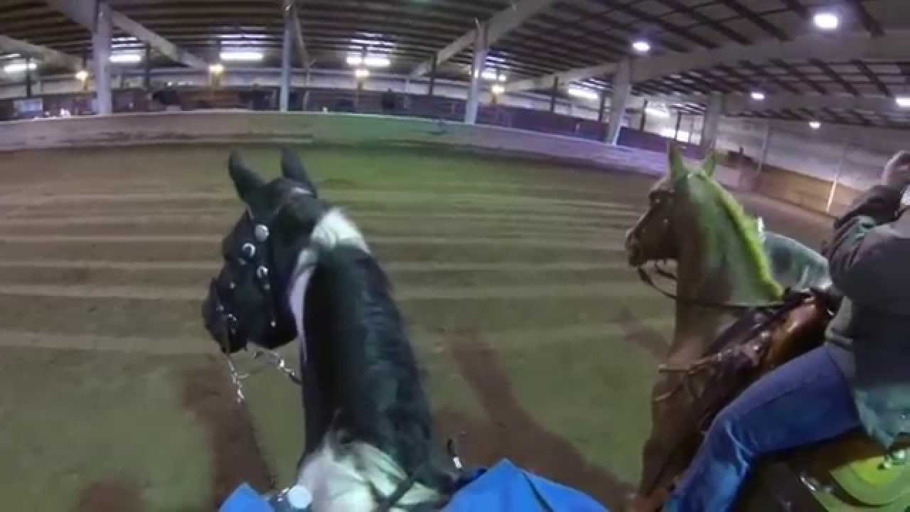 11 despooked to sirens