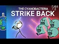 Cyanobacteria and Their Ecological Impact