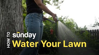 How to Water Your Lawn